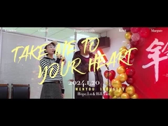 Hoge slagsterkte elektrische epoxyhars